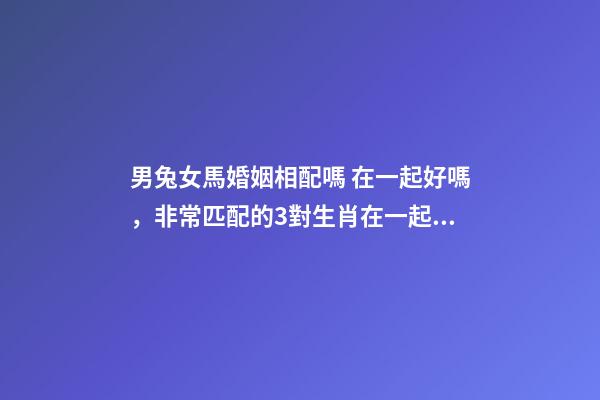 男兔女馬婚姻相配嗎 在一起好嗎，非常匹配的3對生肖在一起恩愛有加-第1張-觀點-玄機派